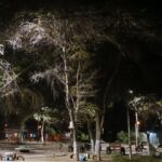 Enosa instaló más luminarias en distrito de Catacaos