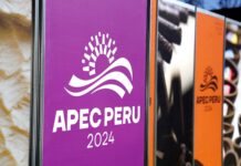 APEC 2024: Oportunidades Clave para los Microempresarios y Emprendedores de Piura