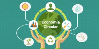 APEC 2024 y sostenibilidad: lo que debes saber sobre economía circular