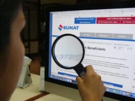 Conoce qué es la renta de quinta categoría y por qué se aplica en tus boletas de pago
