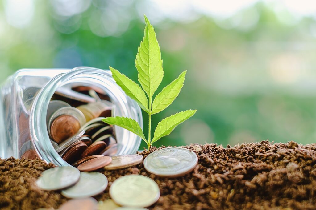 Economía verde y biodiversidad: una alianza estratégica para el desarrollo sostenible en Perú