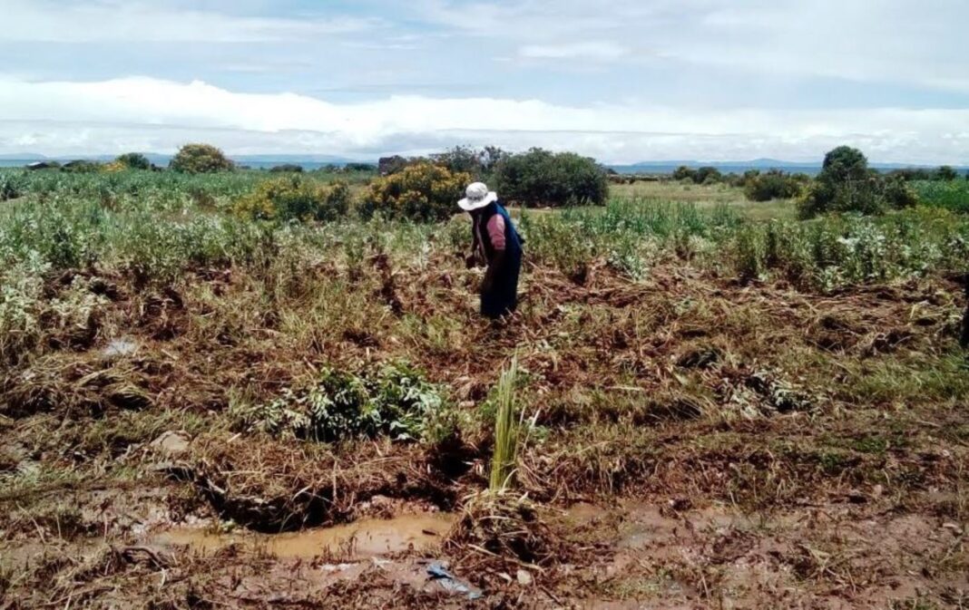 Piura ¿Cómo impacta la crisis hídrica en distintos sectores