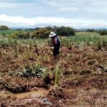 Piura ¿Cómo impacta la crisis hídrica en distintos sectores