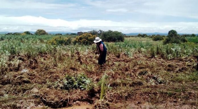 Piura ¿Cómo impacta la crisis hídrica en distintos sectores