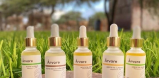 Arvore: el emprendimiento piurano de productos de bambú y cosméticos naturales