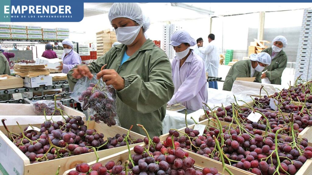 El impacto de las exportaciones en el empleo creció 16.1 % entre enero y noviembre de 2024