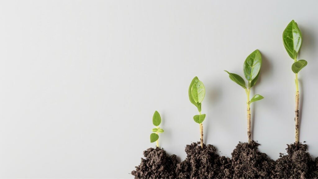 Qué es el emprendimiento social y cómo está transformando el mundo Qué es el emprendimiento social y cómo está transformando el mundo