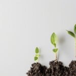 Qué es el emprendimiento social y cómo está transformando el mundo
