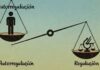 Equilibrio entre libre mercado y regulación empresarial