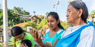 OSIPTEL: al menos 7 de cada 10 mujeres cuentan con un smartphone o celular inteligente