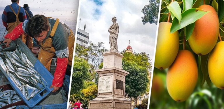 PBI de Piura se expandió solo un 0.6 % en el 2024