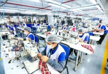 Crecen las empresas formales en Perú: 2.3 millones registradas en 2024