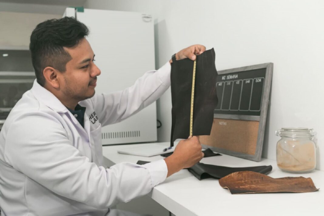 Leather Lab: startup peruana destaca internacionalmente con textiles veganos y sostenibles