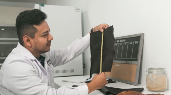 Leather Lab: startup peruana destaca internacionalmente con textiles veganos y sostenibles