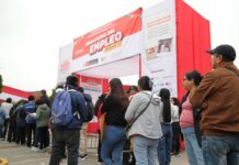 El mercado laboral peruano exige perfiles más versátiles y adaptables, afirma especialista