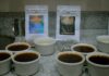 Campaña “Adopta tu café” busca impulsar el consumo de café altoandino en Piura