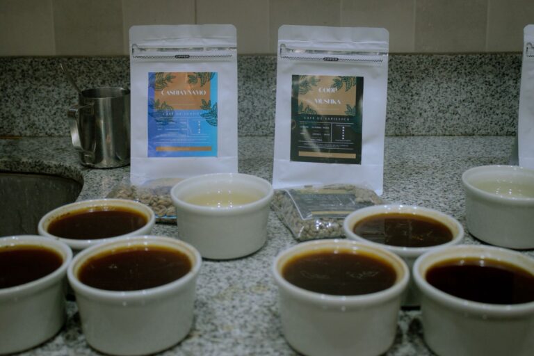 Campaña “Adopta tu café” busca impulsar el consumo de café altoandino en Piura