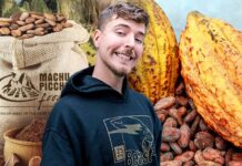 Machu Picchu Foods: la empresa peruana detrás de los chocolates de Mr. Beast y HH