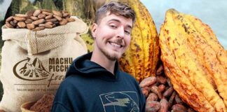 Machu Picchu Foods: la empresa peruana detrás de los chocolates de Mr. Beast y HH