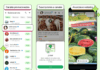 WhatsApp implementará contenido publicitario en su plataforma