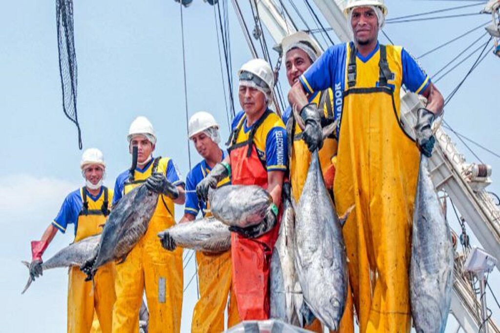Sector pesquero peruano impulsa 4 000 puestos de trabajo