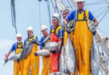 Sector pesquero peruano impulsa 4 000 puestos de trabajo