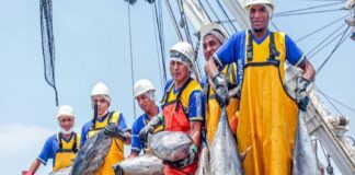Sector pesquero peruano impulsa 4 000 puestos de trabajo
