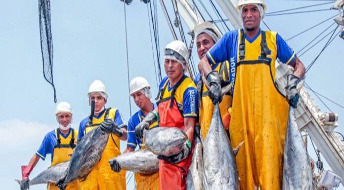 Sector pesquero peruano impulsa 4 000 puestos de trabajo