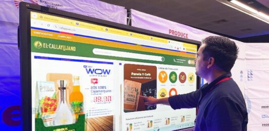 Cyber Wow y Cyber Days 2025: ¿qué categorías tuvieron los mayores descuentos?