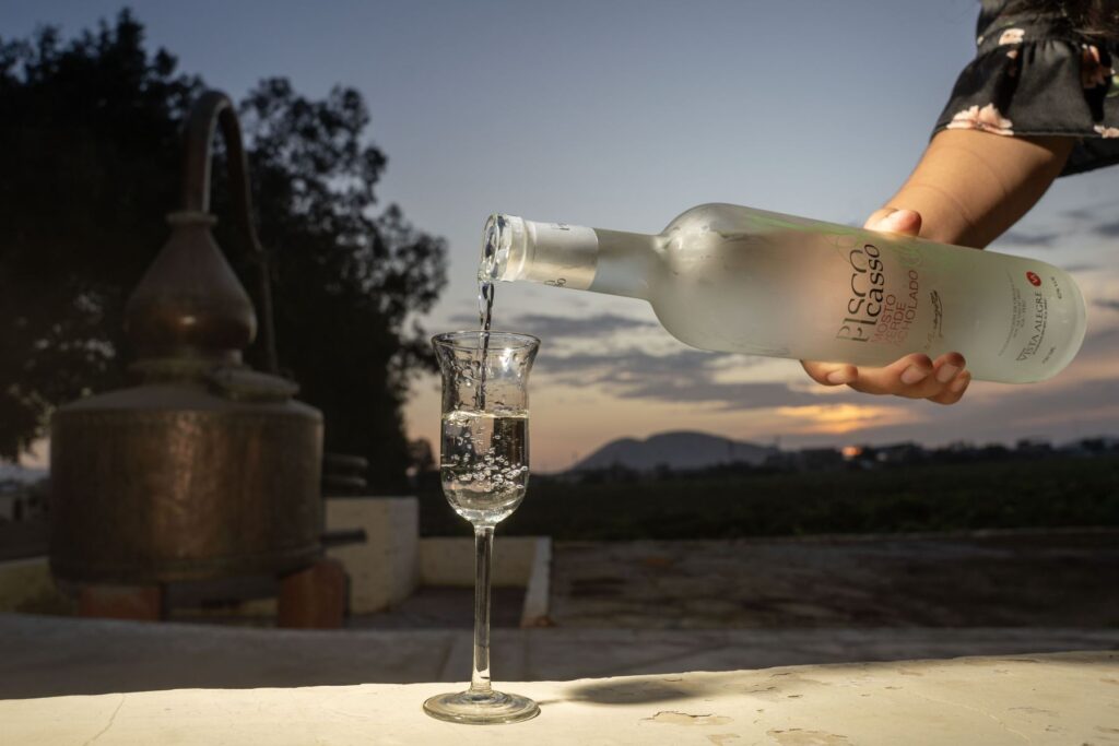 Concurso Nacional del Pisco vuelve para fortalecer la producción e internacionalización Concurso Nacional del Pisco vuelve para fortalecer producción e internacionalización