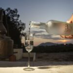 Concurso Nacional del Pisco vuelve para fortalecer producción e internacionalización
