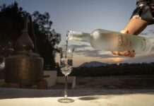 Concurso Nacional del Pisco vuelve para fortalecer producción e internacionalización