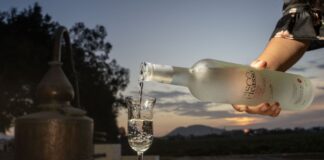 Concurso Nacional del Pisco vuelve para fortalecer producción e internacionalización