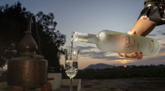 Concurso Nacional del Pisco vuelve para fortalecer producción e internacionalización