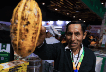Salón del Cacao y Chocolate 2025 impulsa competitividad de más de 100 mil productores peruanos