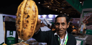 Salón del Cacao y Chocolate 2025 impulsa competitividad de más de 100 mil productores peruanos