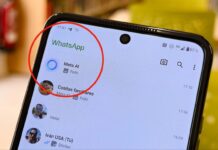 Meta AI llega a WhatsApp en Perú: conoce cómo activarlo y las funciones que ofrece
