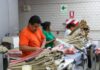 Conoce las cinco claves logísticas para MIPYMES importadoras en Perú