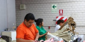 Conoce las cinco claves logísticas para MIPYMES importadoras en Perú