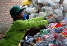 recicladores formales duplican sus ingresos anuales tras dejar la informalidad