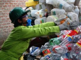 recicladores formales duplican sus ingresos anuales tras dejar la informalidad