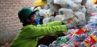 recicladores formales duplican sus ingresos anuales tras dejar la informalidad