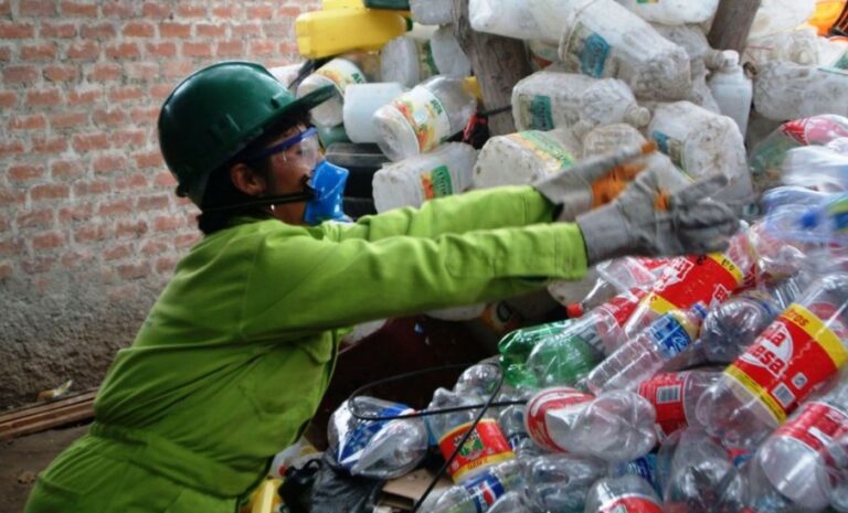 recicladores formales duplican sus ingresos anuales tras dejar la informalidad