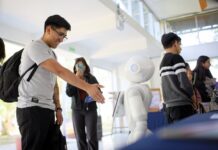Tecnología peruana desarrolla software que personaliza el comportamiento de robots sociales