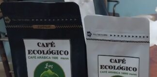 Adopta tu café ecológico: la campaña que impulsa el consumo responsable en Piura
