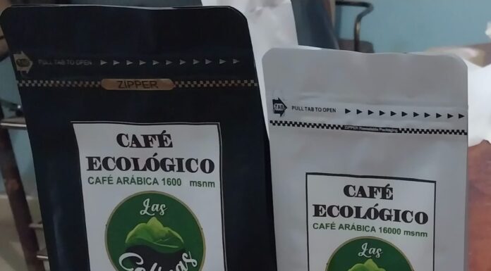 Adopta tu café ecológico: la campaña que impulsa el consumo responsable en Piura
