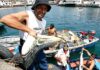 Perú actualiza reglamento ambiental para pesca y acuicultura sostenible
