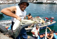 Perú actualiza reglamento ambiental para pesca y acuicultura sostenible