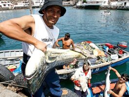 Perú actualiza reglamento ambiental para pesca y acuicultura sostenible