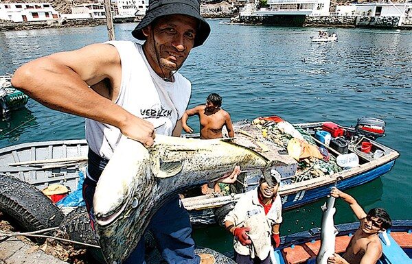 Perú actualiza reglamento ambiental para pesca y acuicultura sostenible